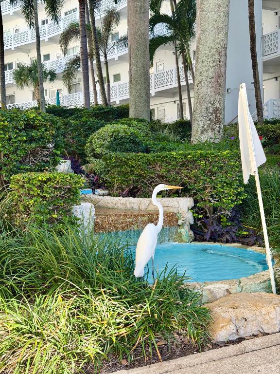 PALM WORTH INC - Residential