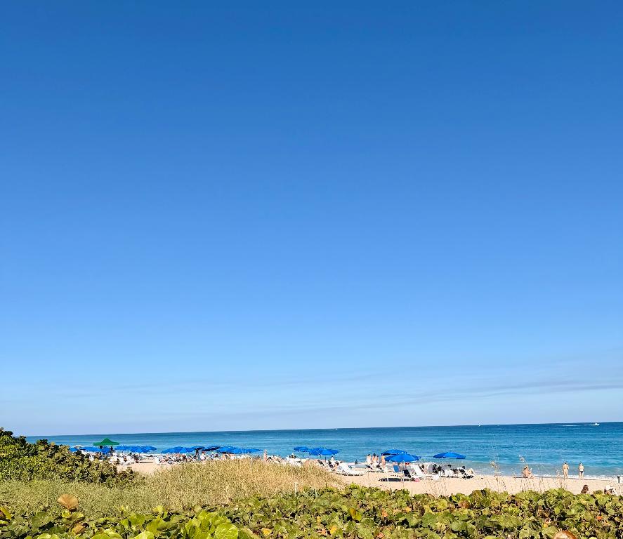 PALM WORTH INC - Residential