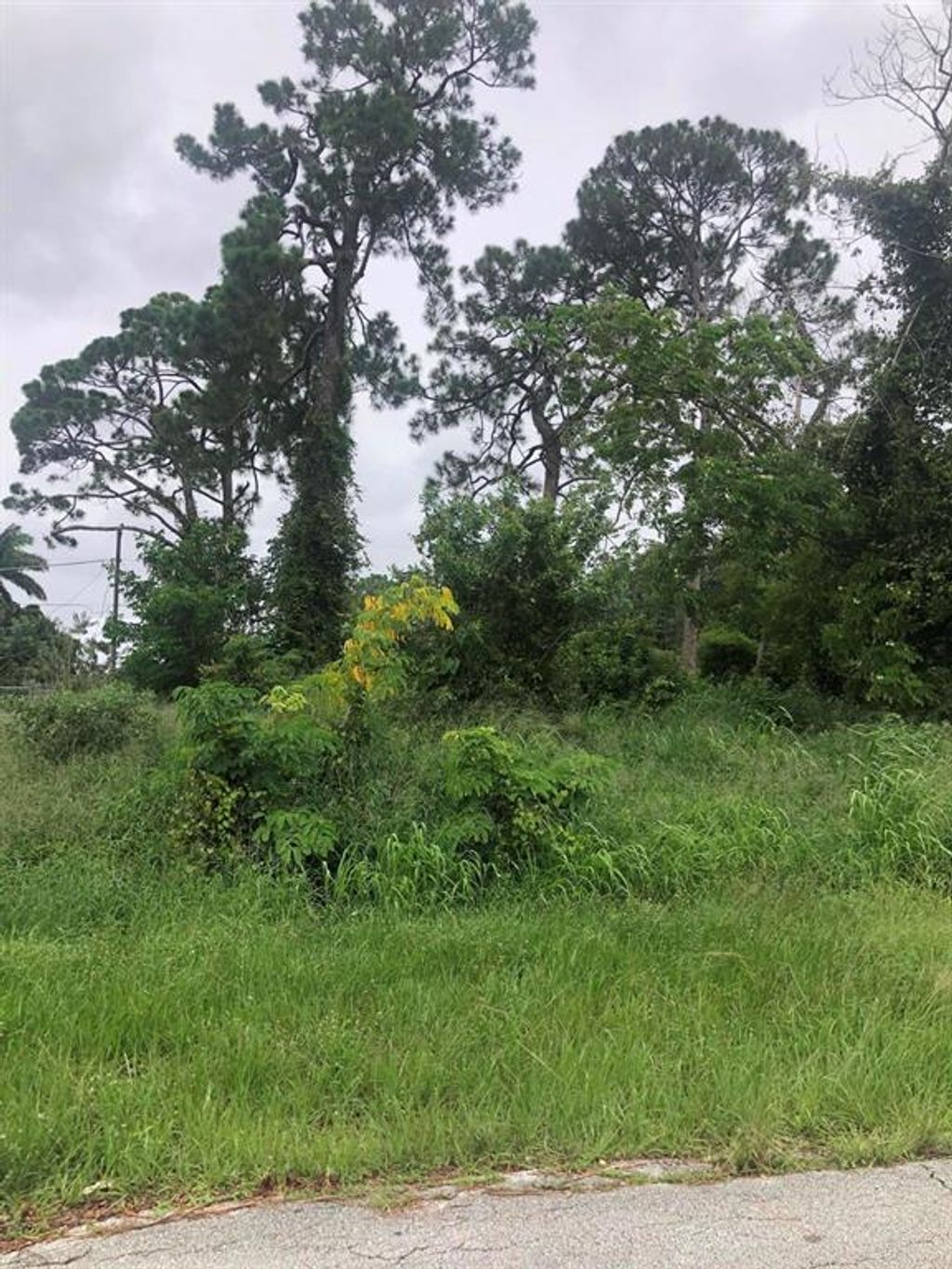 Photo of 1026 SE Lansdowne Avenue, Port Saint Lucie, FL 34983 (MLS # R10729325)