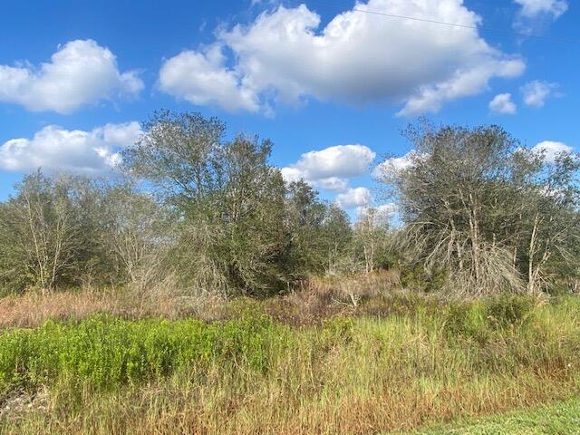 Beautiful 1.25 acres located in the Vicking area of Okeechobee, FL. Great property for a weekend get away or to build your dream home. BONUS!! This property is in a NO FLOOD ZONE. Come out and take a look!