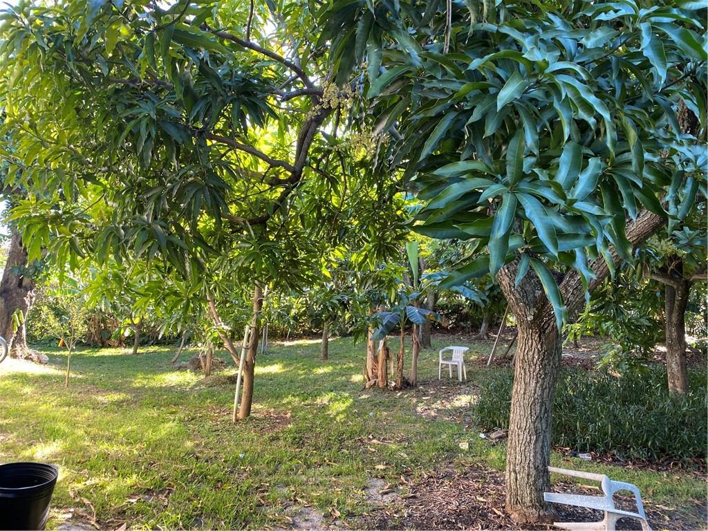 Monticello Park - Residential