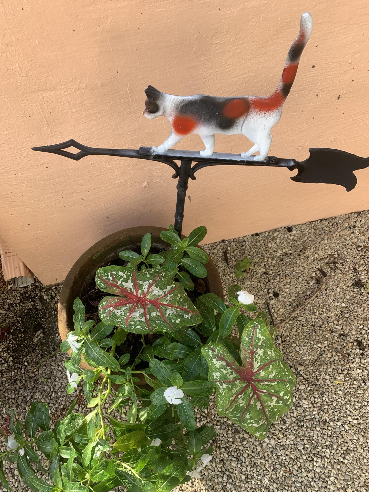 DELRAY TOWN OF - Residential