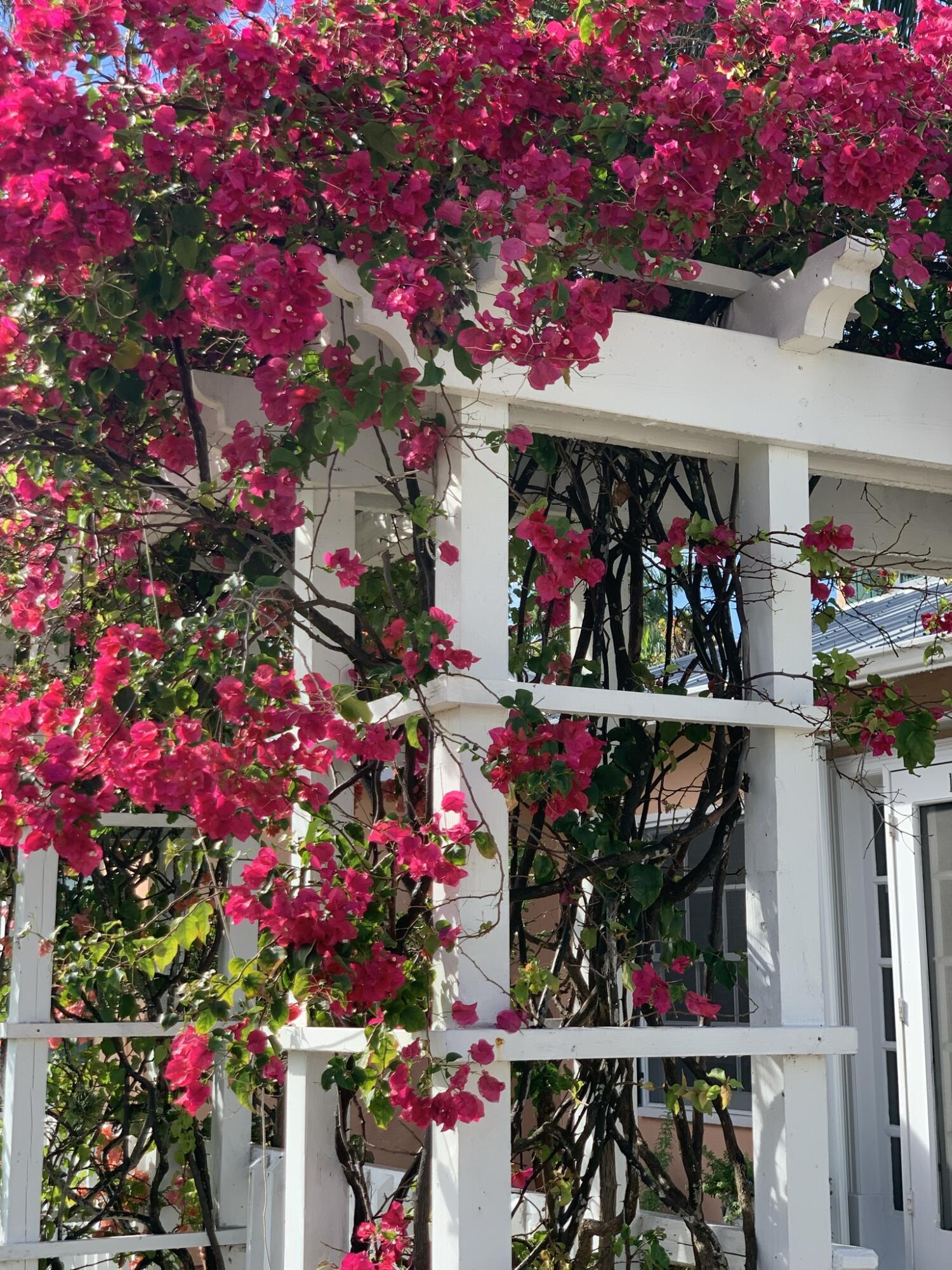 DELRAY TOWN OF - Residential