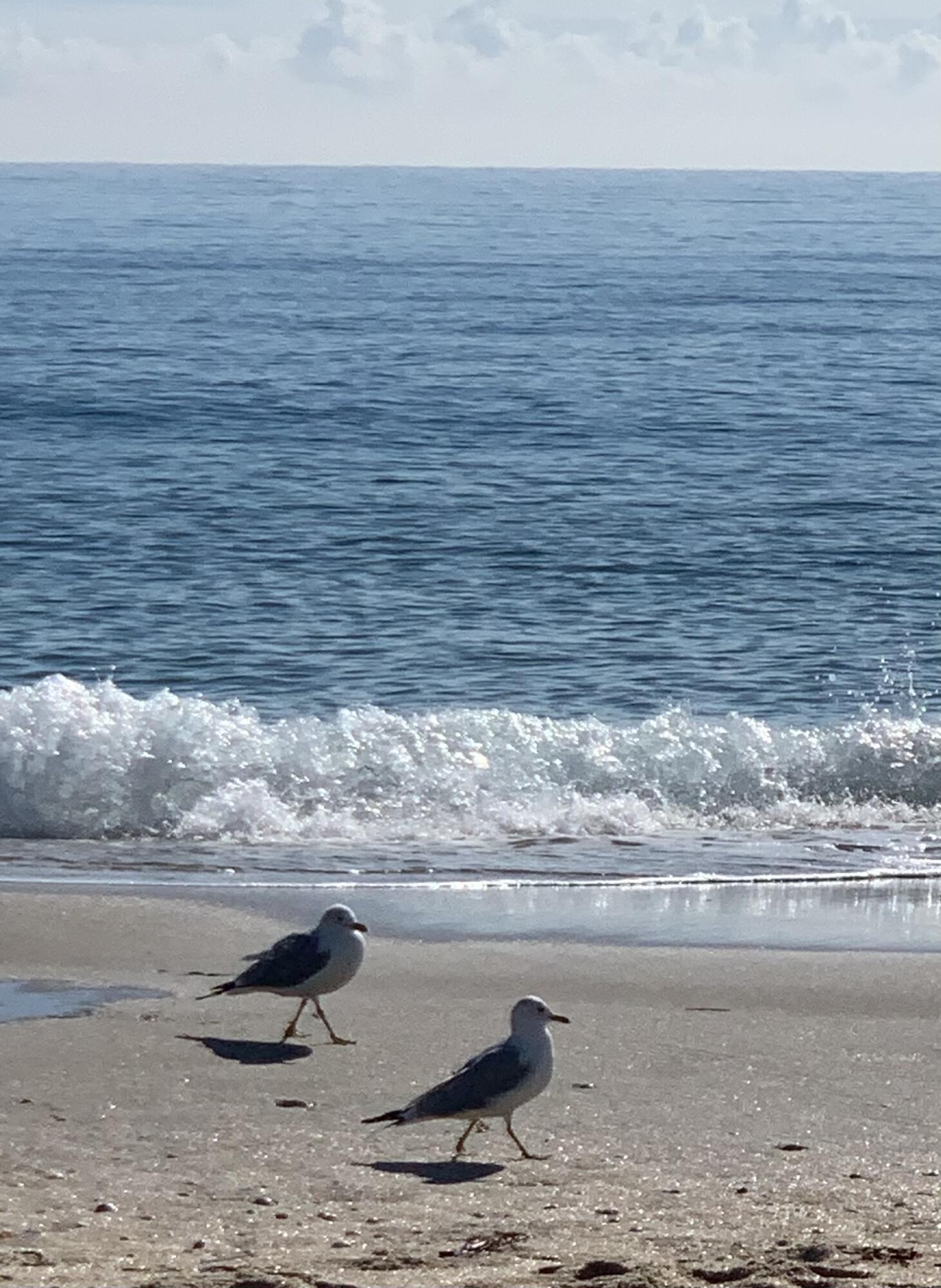 DELRAY TOWN OF - Residential