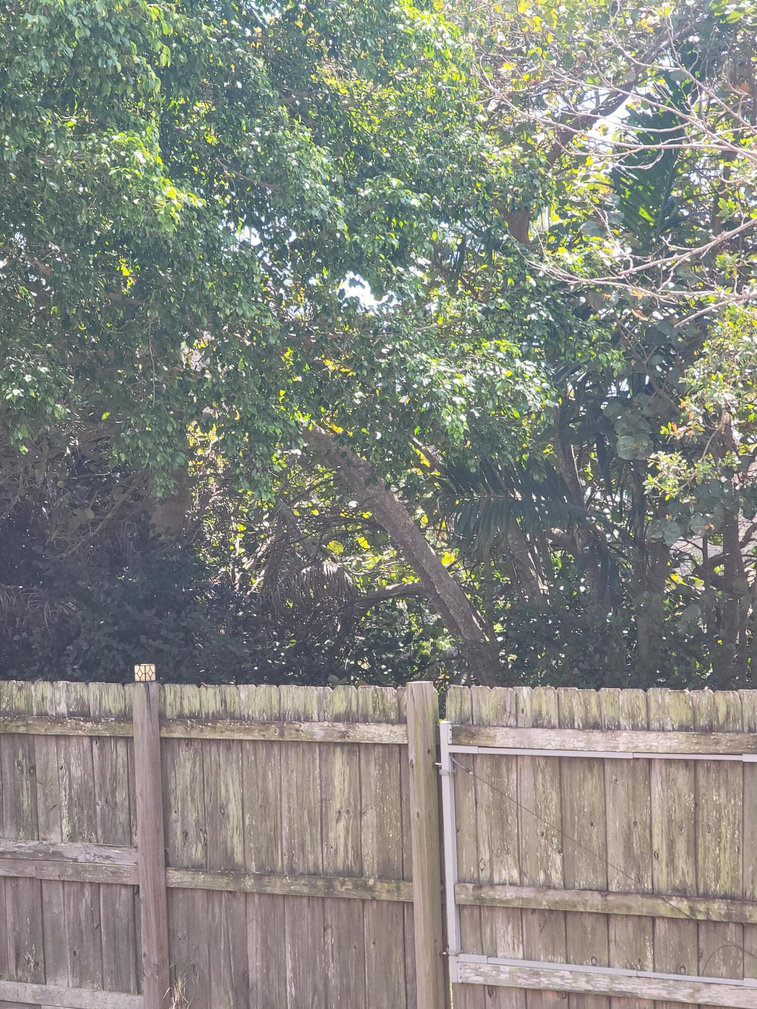 MARBELLA PARK 5TH ADDN - Residential