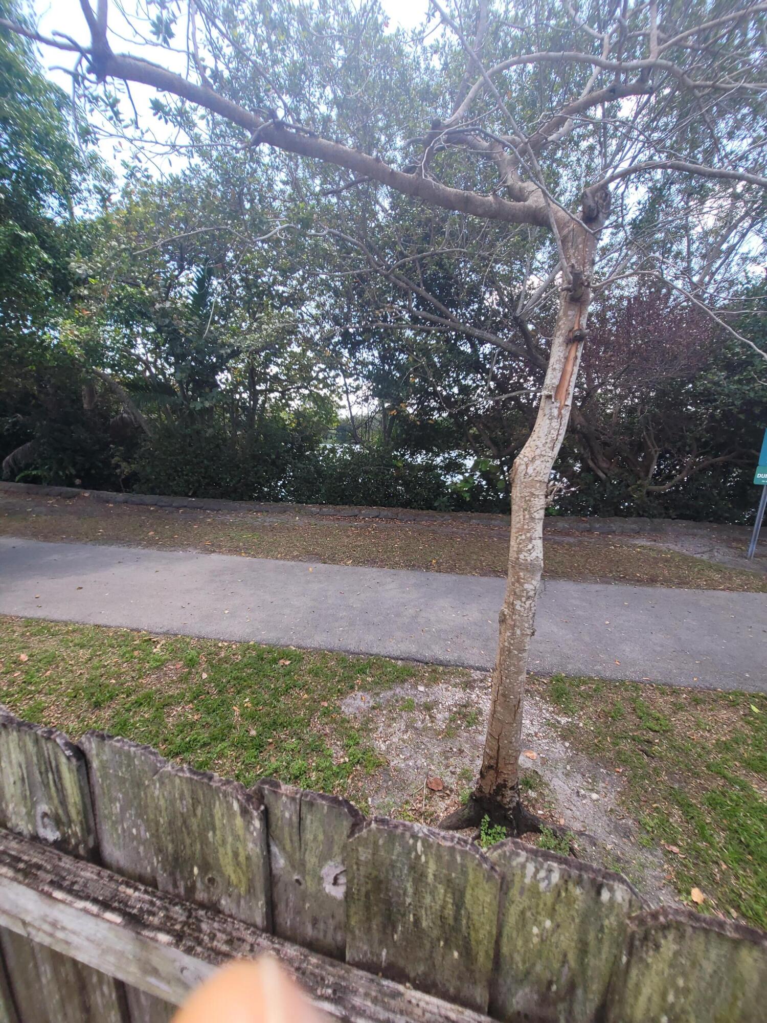 MARBELLA PARK 5TH ADDN - Residential