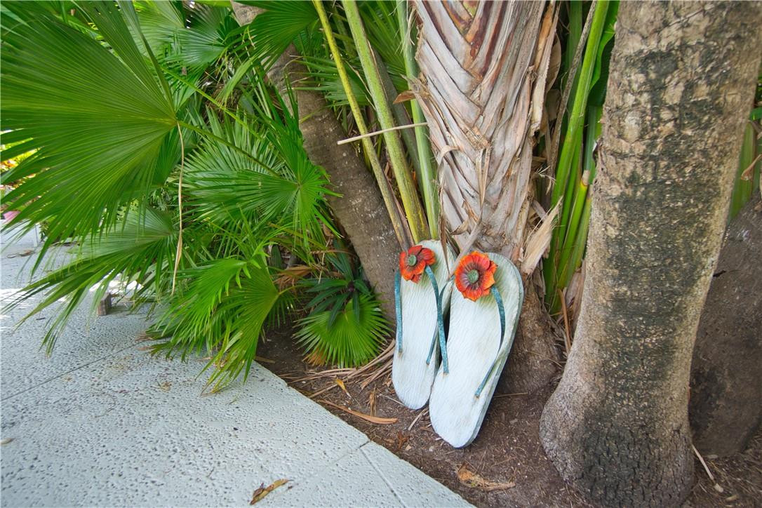 POINSETTA PARK - Residential