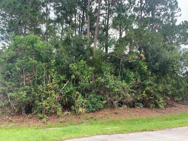 Build your dream home on this great lot, centrally located to shopping, dining and I-95, turnpike. Close to Tradition. Newer homes all around.
