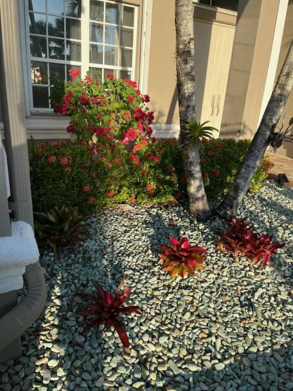 Bellaggio - Residential