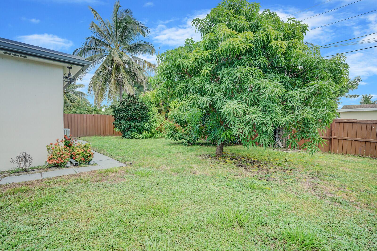 1001 Pine Tree Drive