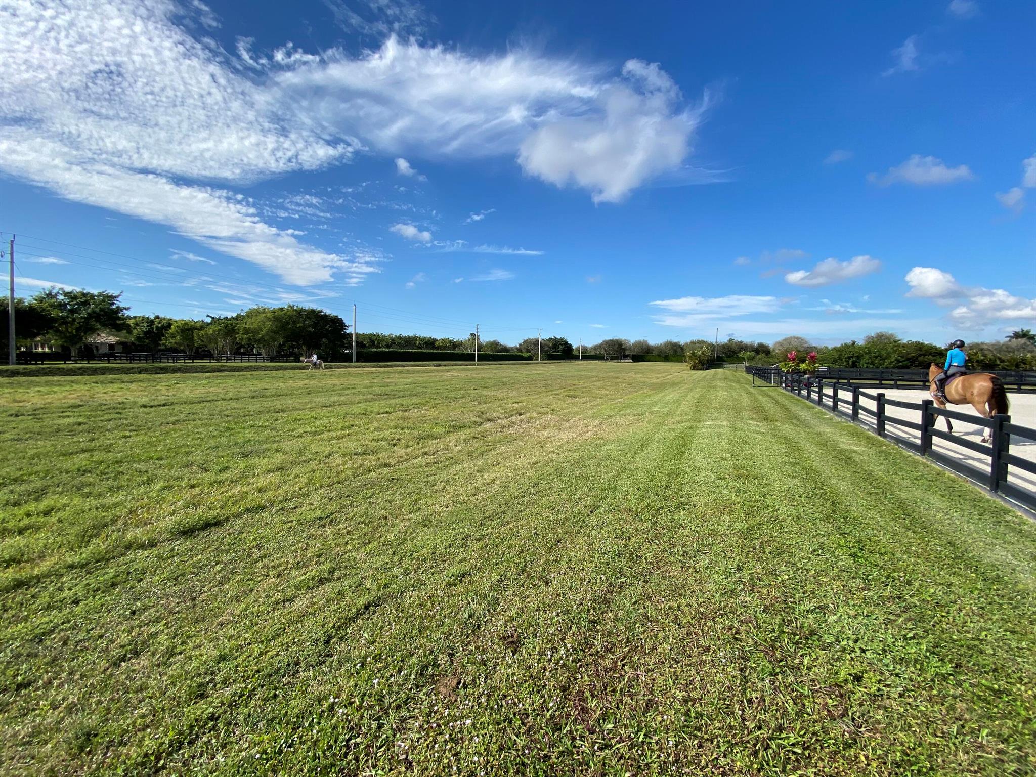 PALM BEACH POINT - Residential
