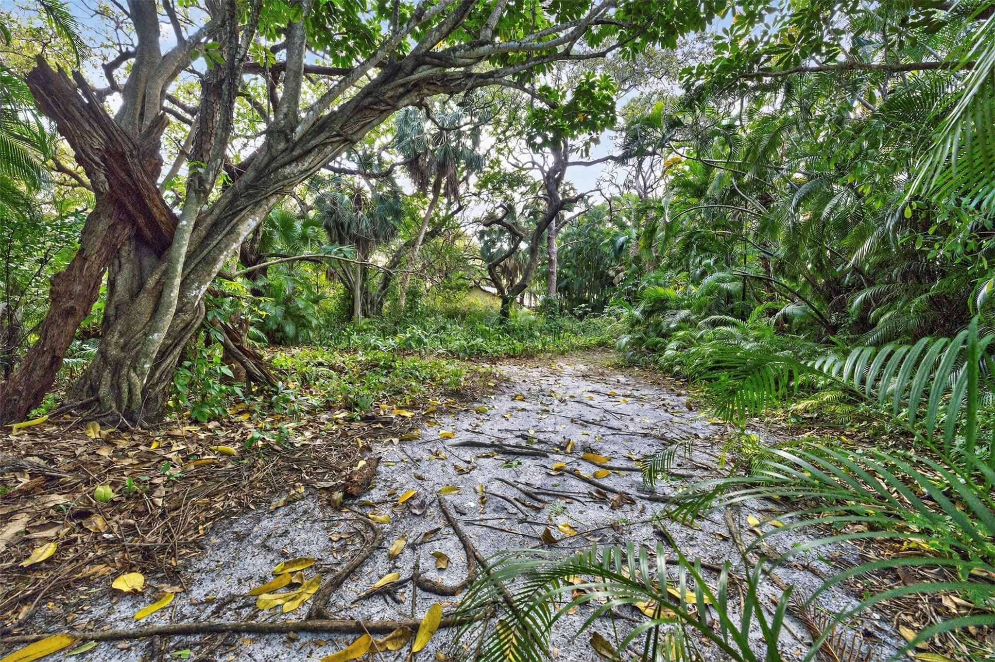 edgewood - Residential