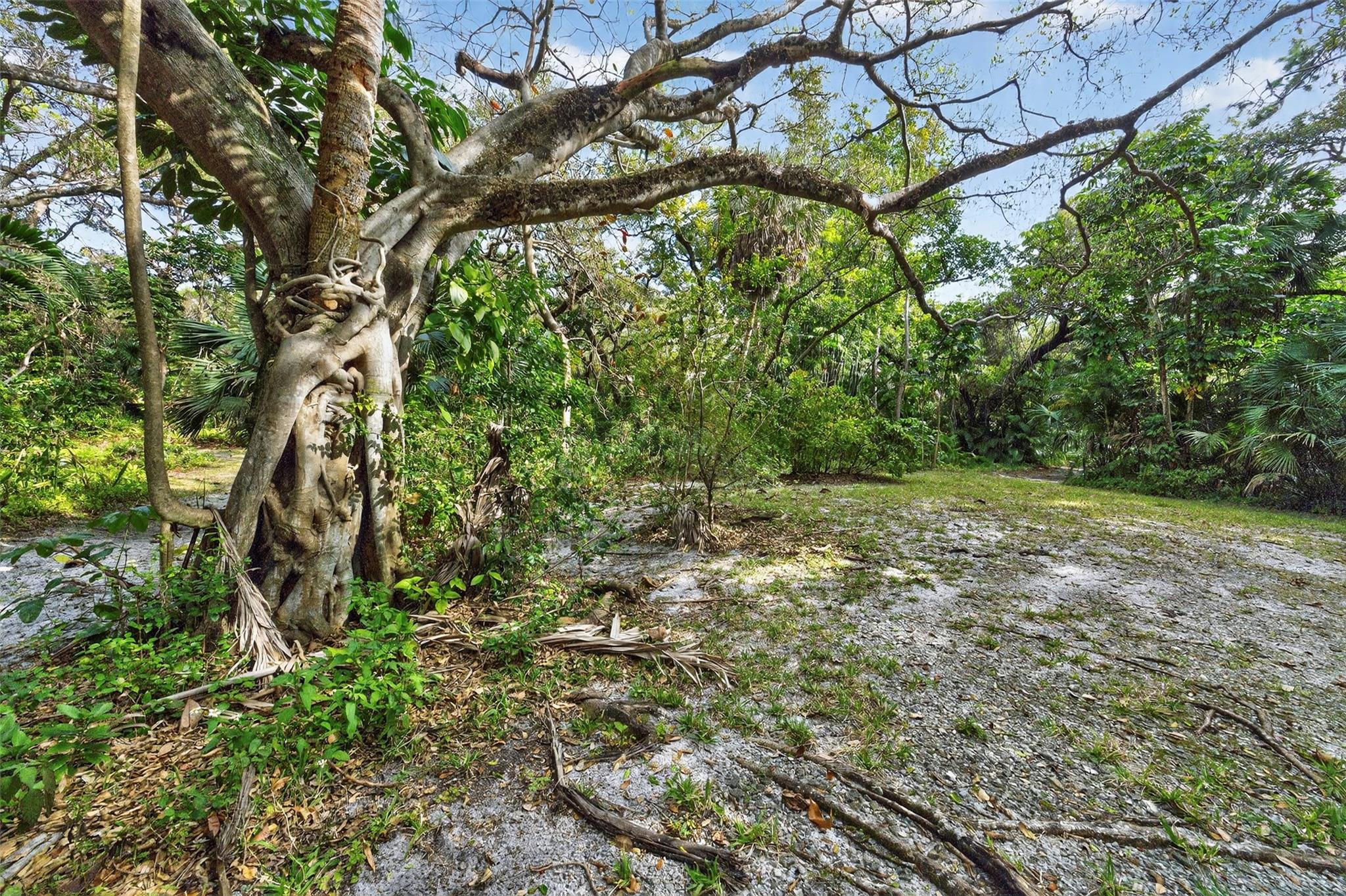 edgewood - Residential