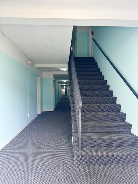 Virginian Apartments - Residential