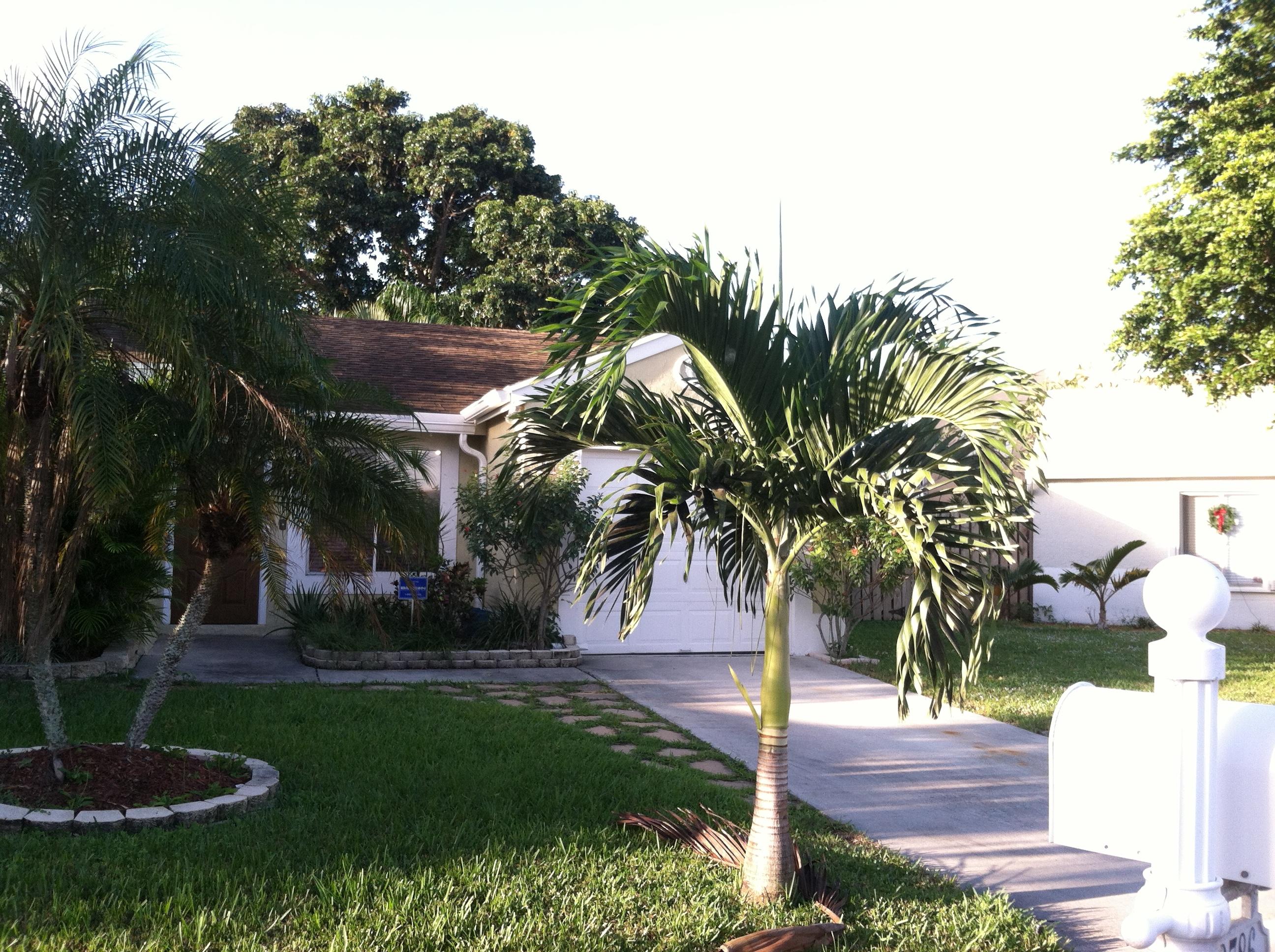 Weitzer Sub 1 - Residential Lease