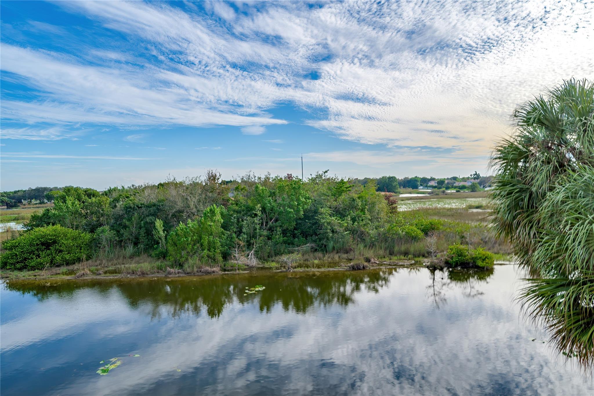 The Marquesa - Residential