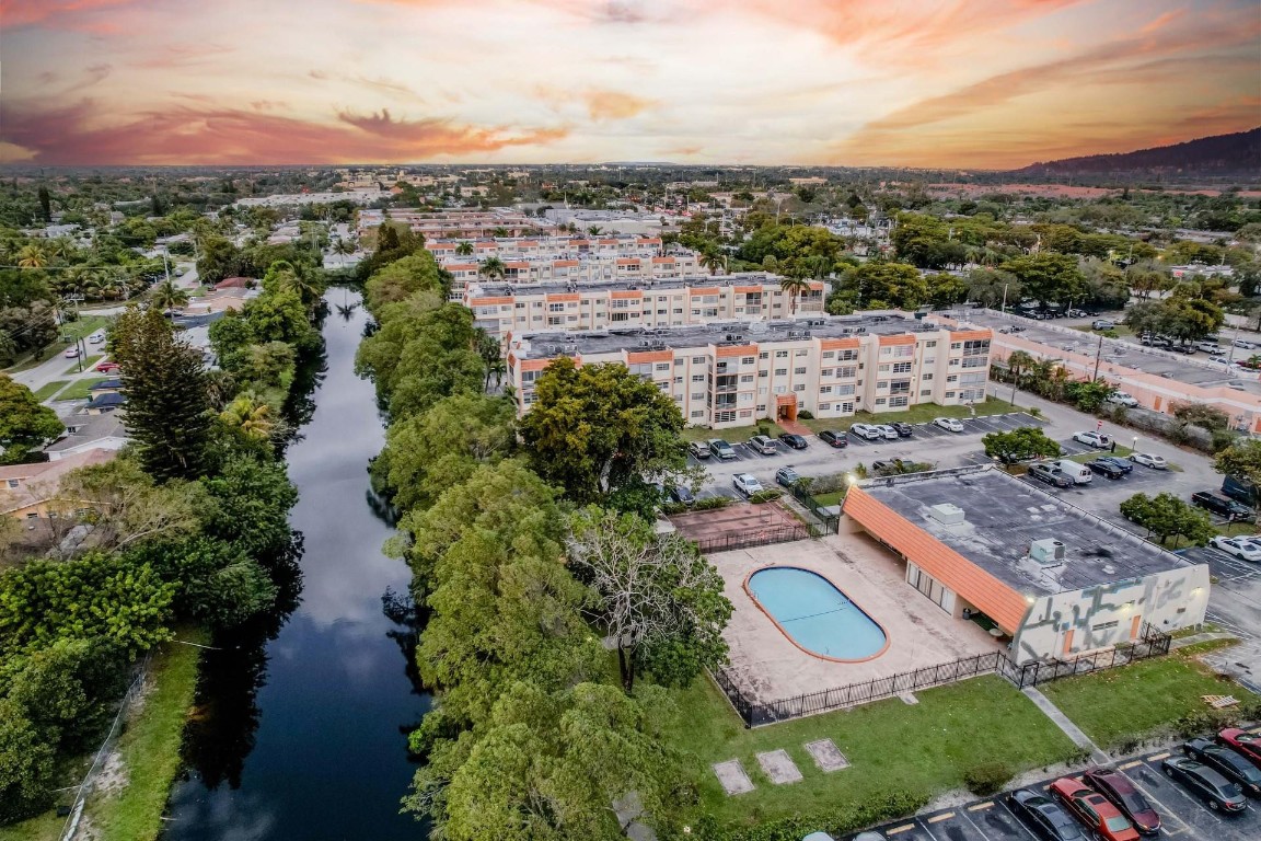 Cypress Tree - Residential