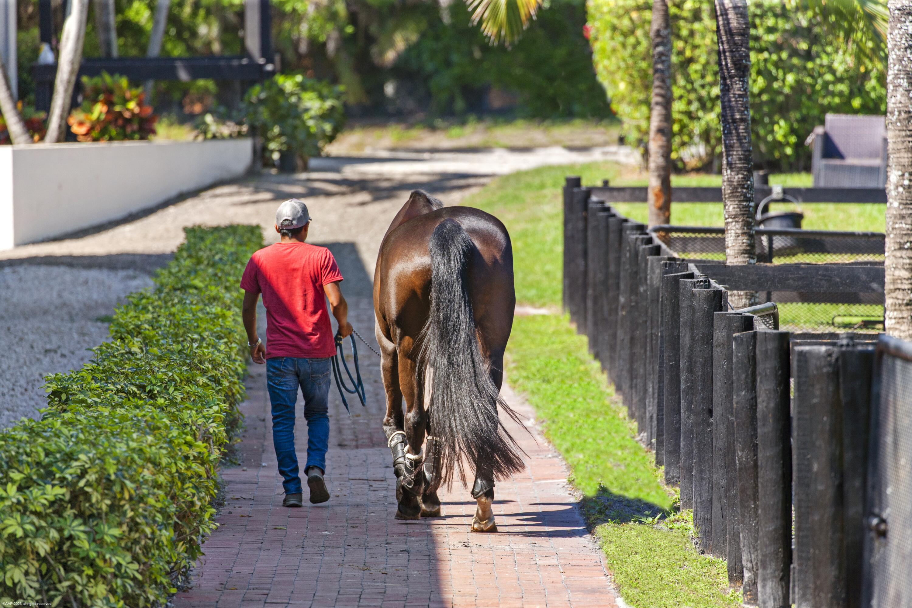 PALM BEACH POINT EAST - Residential