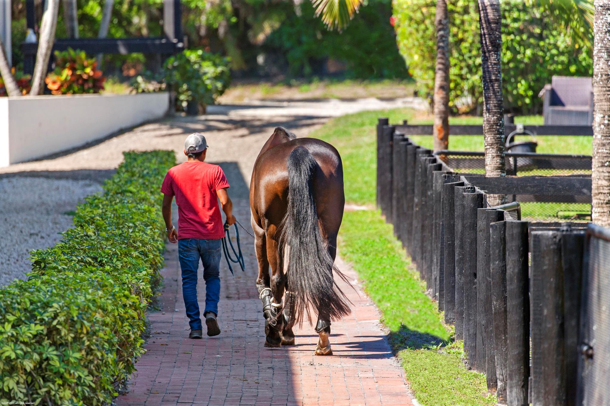 PALM BEACH POINT EAST - Residential