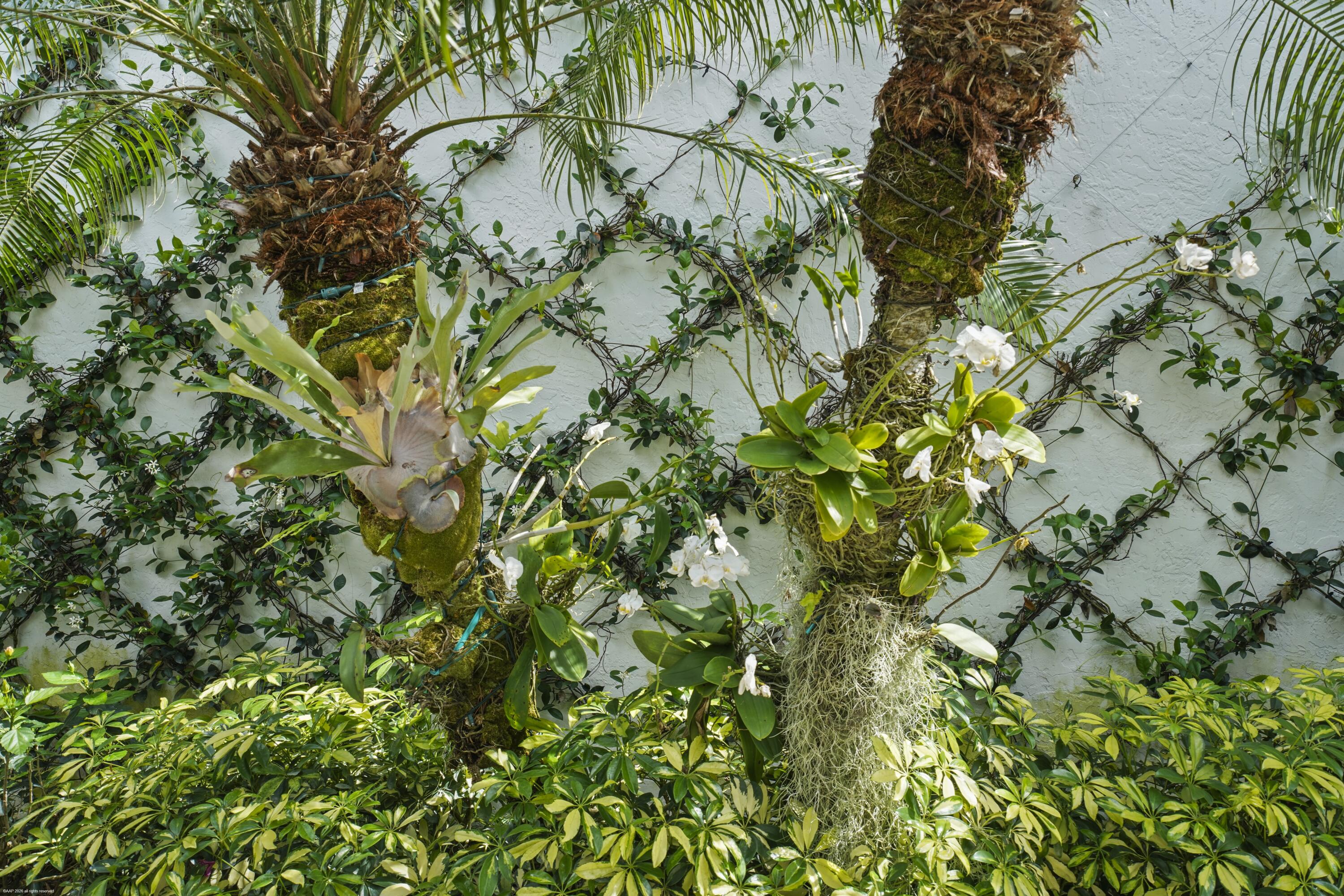 MUIRFIELD 4 - Residential