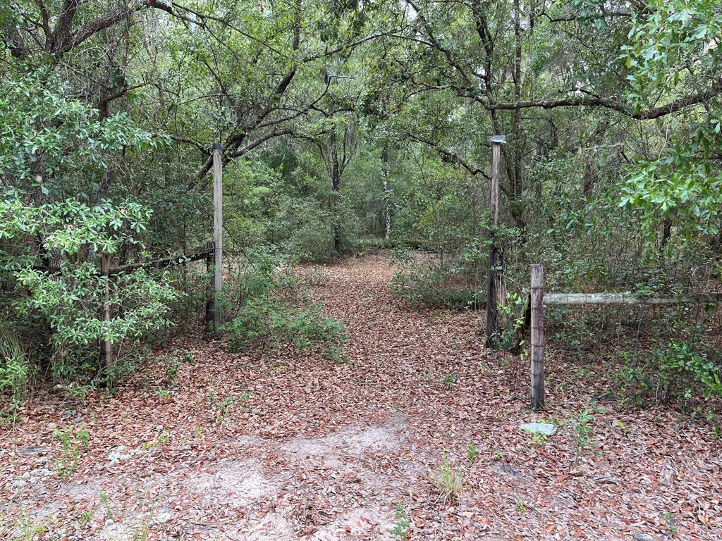 Build or bring your dream home and barn on this beautiful and private 1.34 acre partially fenced, power, well and septic already on the property. seller has no knowledge on location or condition of septic or well power on property, but not turned-on. Keystone Heights offers many lakes for water sports, Gold Head State Park for exploring and camping, along with trails for bicycling. Town is centered between Palatka, Gainesville and Jacksonville. Owner financing available