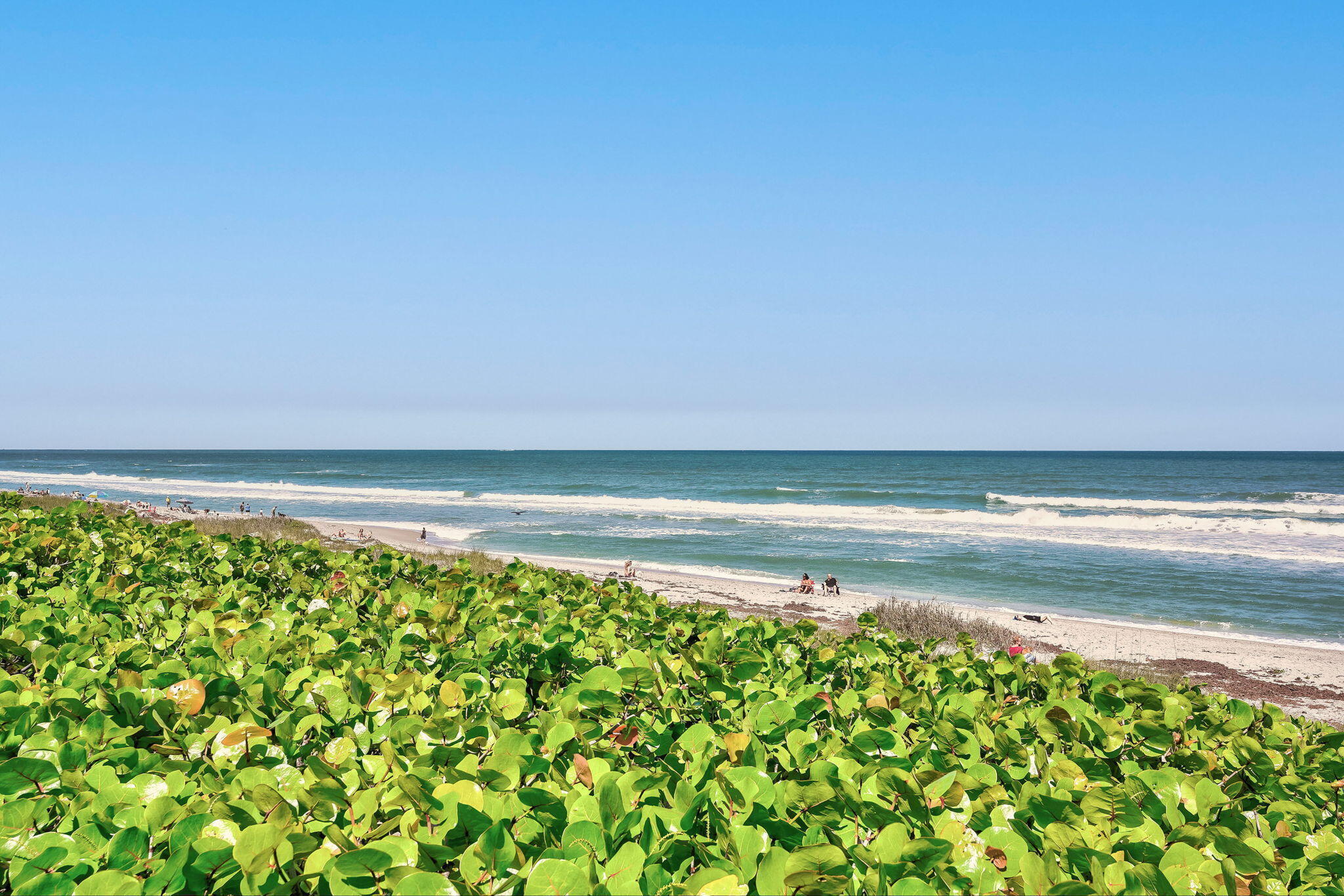 SEA COLONY 1 - Residential Lease