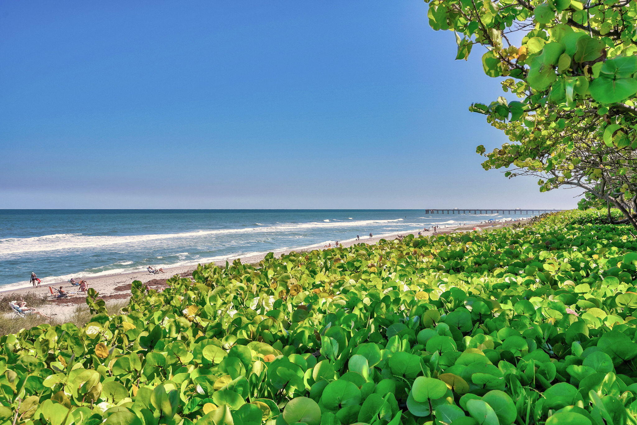 SEA COLONY 1 - Residential Lease