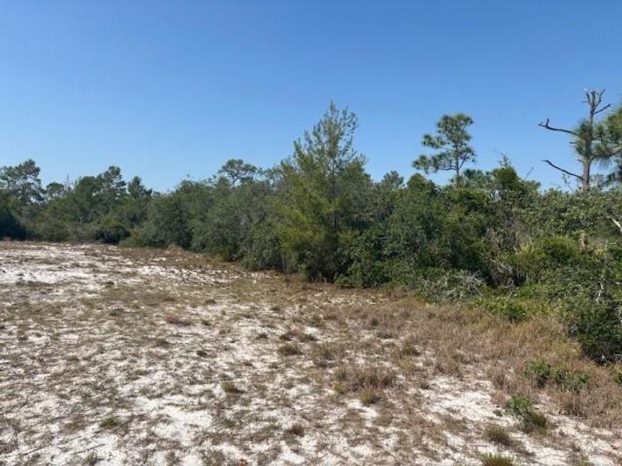 Owner financing Available with only $2,000 down! Calling all bass fishermen. Did you know Lake Placid, FL has 27 freshwater lakes? Dust off that rod and buy yourself some land! These two buildable lots could be your new homesite in the center of it all. Call to schedule a showing today.