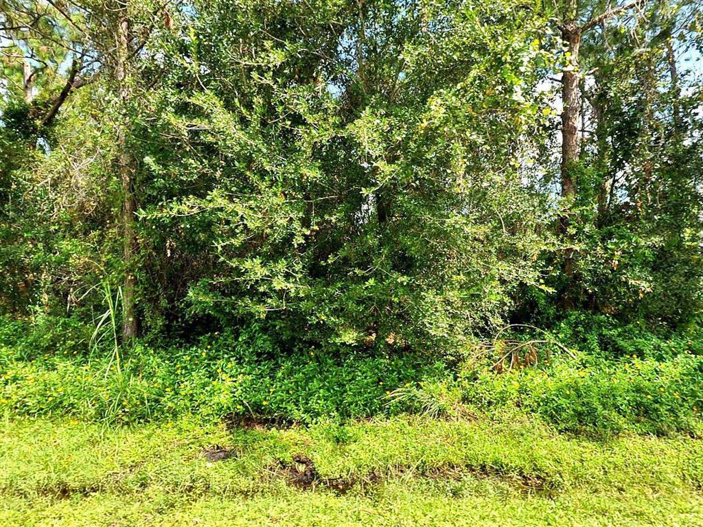 Great, oversized piece of land to build your dream home on. This lot is located in the Bayshore Heights neighborhood of Port St Lucie. Dominantly a residential area, Bayshore Heights neighborhood is conveniently located near shops and restaurants.Just east of the turnpike, Bayshore Heights neighborhood includes Port St. Lucie's City Hall Municipal Complex and Bayshore Elementary School.