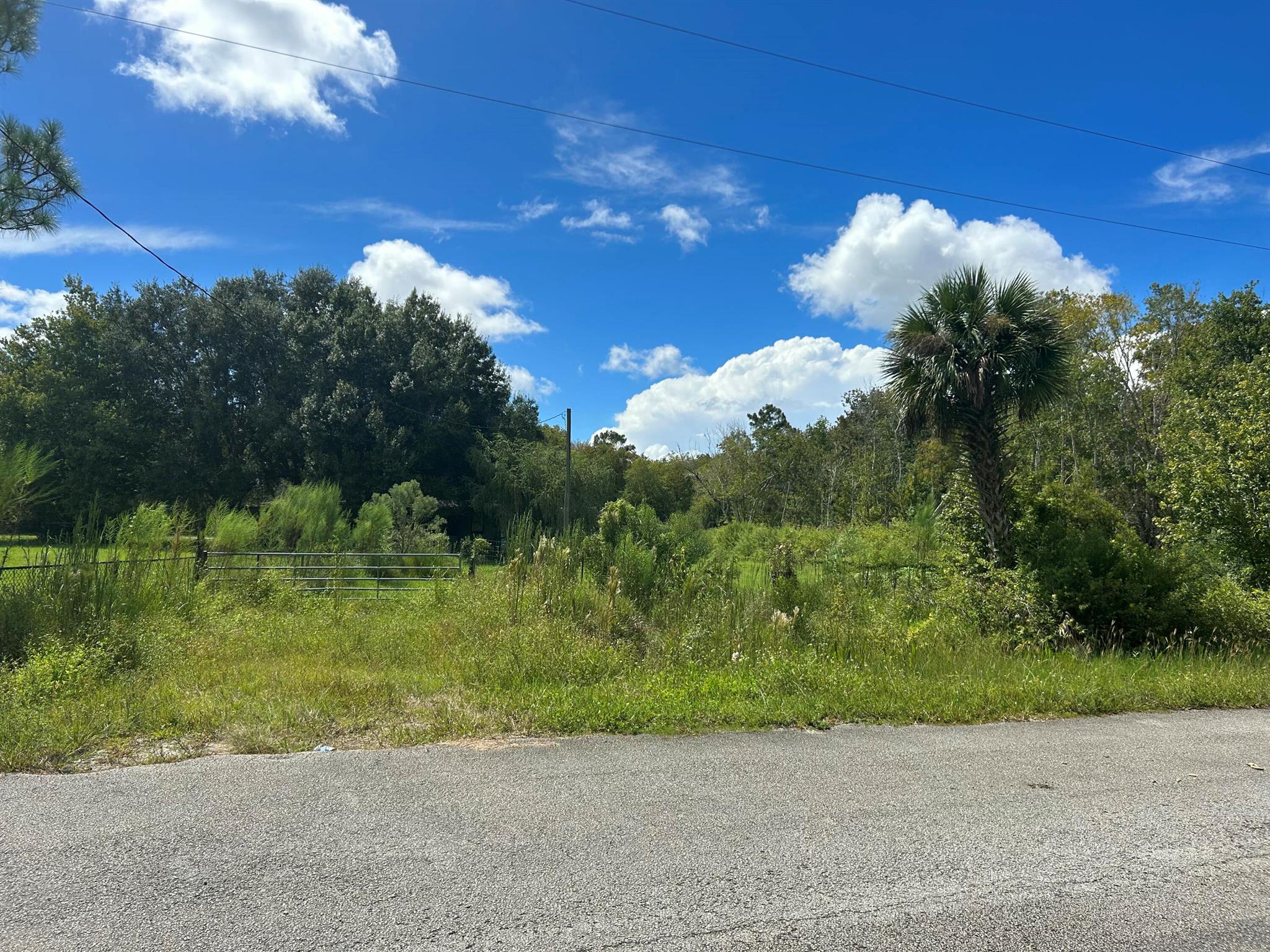 LAKE MONTAZA ESTATES - Land