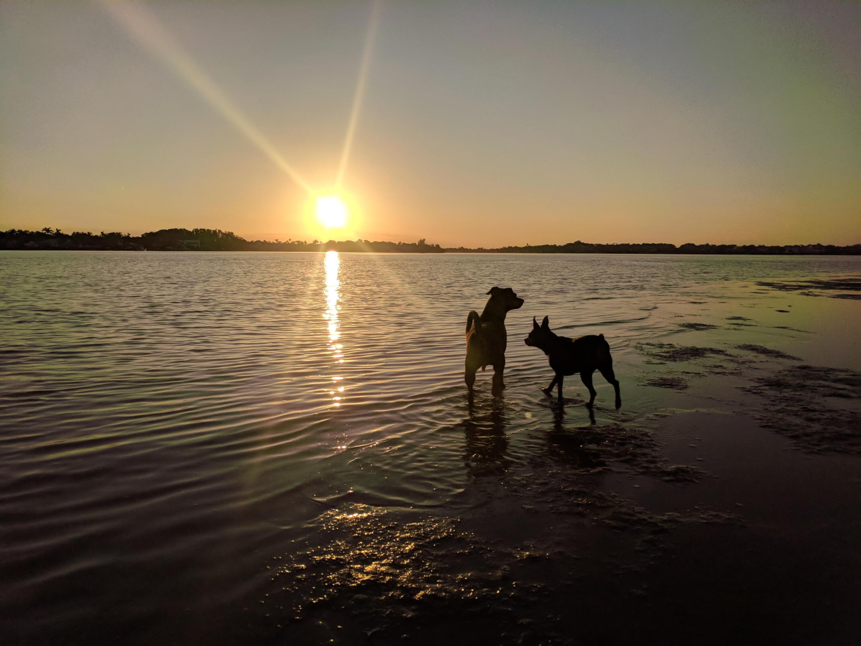 RIVERWALK 1 - Residential Lease