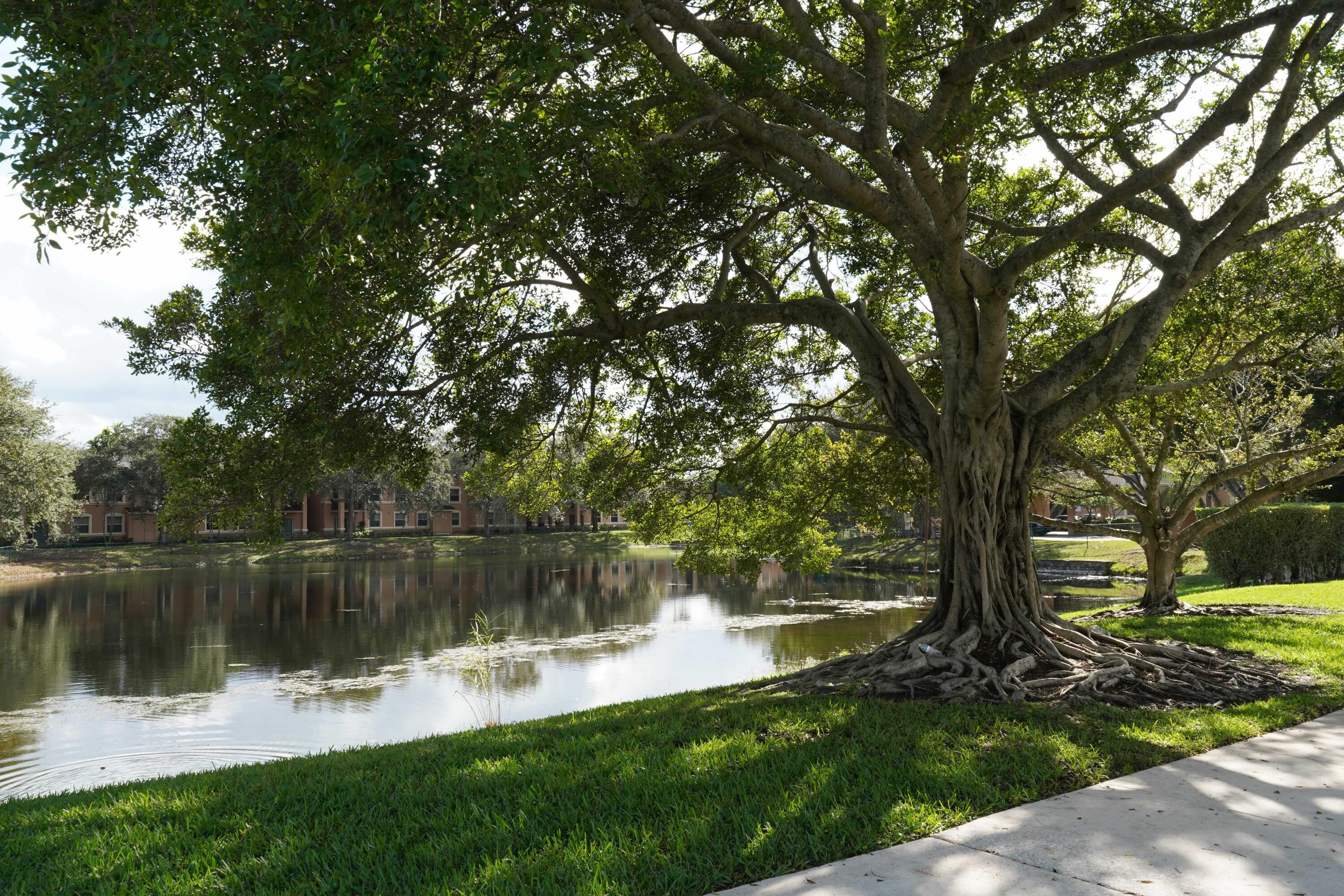 Genesis At The Landings - Residential