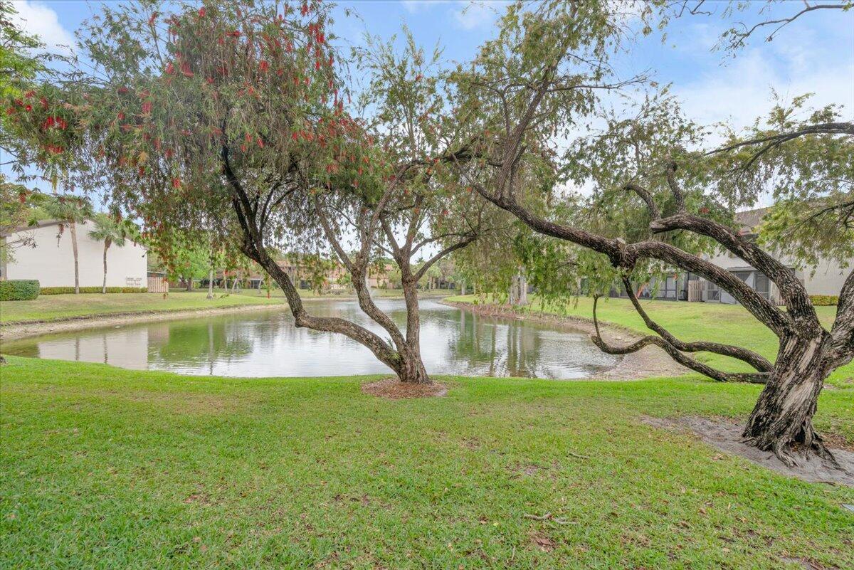 SPRINGDALE LAKE D CONDO - Residential Lease