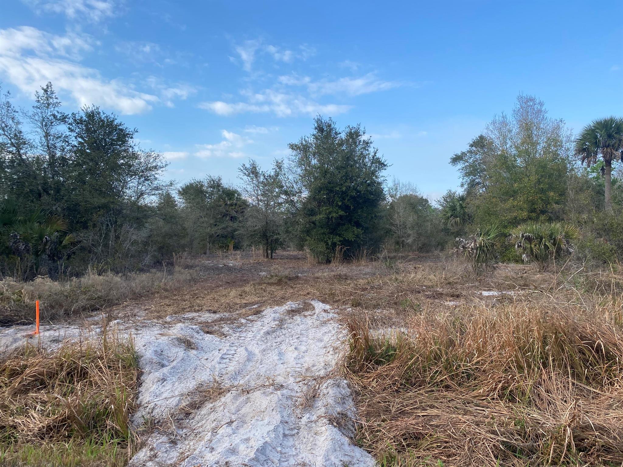 Build or bring your dream home and barn on this beautiful and private high and dry semi clear 1.25 acre just off the main paved road with a culvert pipe already in place to access the property . there is so much to enjoy in Okeechobee County. Come to The Kissimmee River Preserve State Park West of this area as well is the Kissimmee River. The Kissimmee River flows into Lake Okeechobee and is well known for some of the best fishing. whether you like Fishing, hunting, mudding agriculture or just privacy here you have it all...Owner financing available