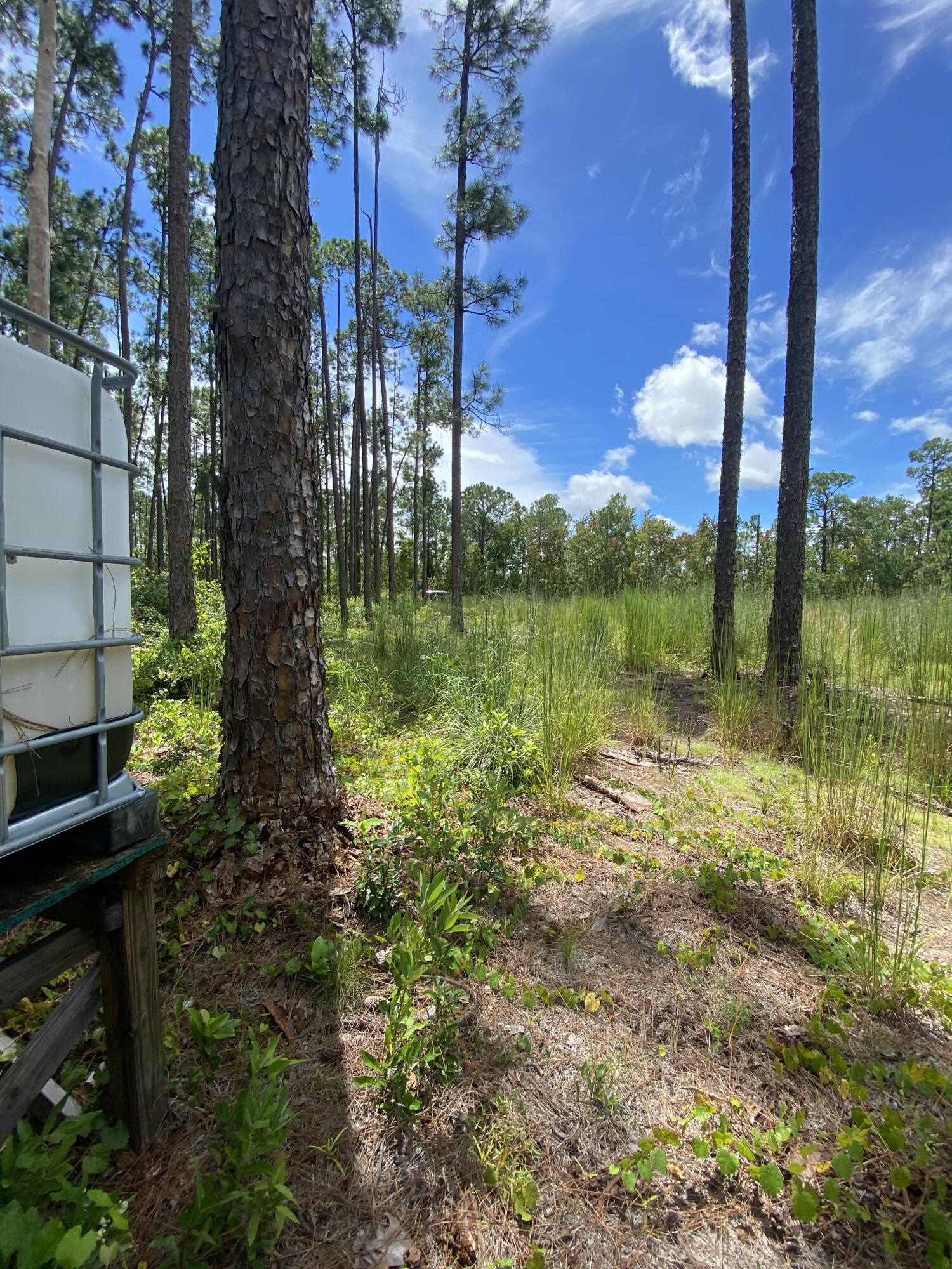 INDIAN LAKE ESTATES UNIT 14 - Land