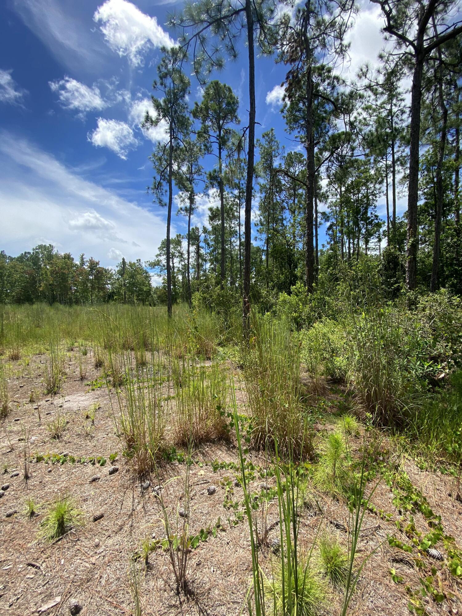 INDIAN LAKE ESTATES UNIT 14 - Land