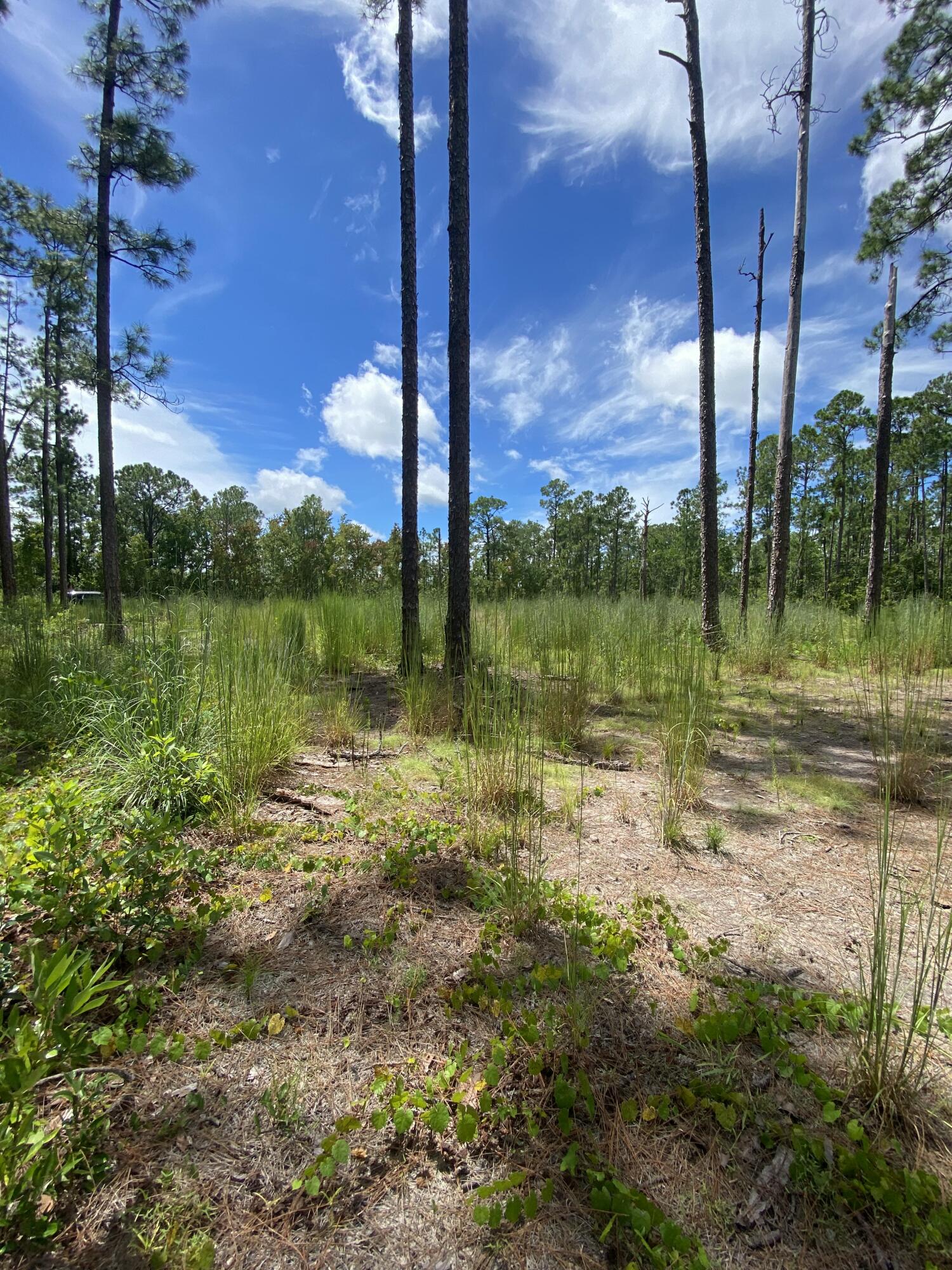 INDIAN LAKE ESTATES UNIT 14 - Land