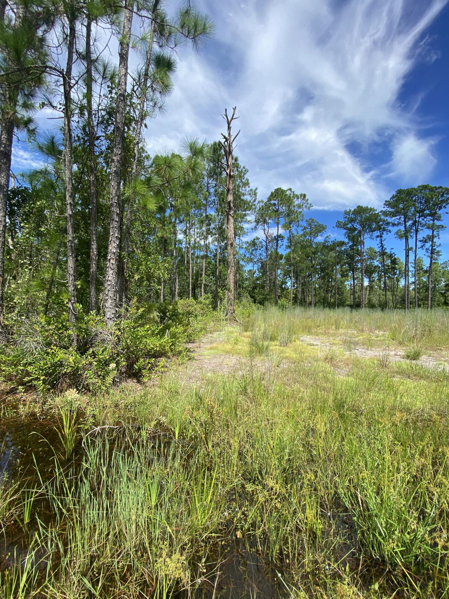 INDIAN LAKE ESTATES UNIT 14 - Land