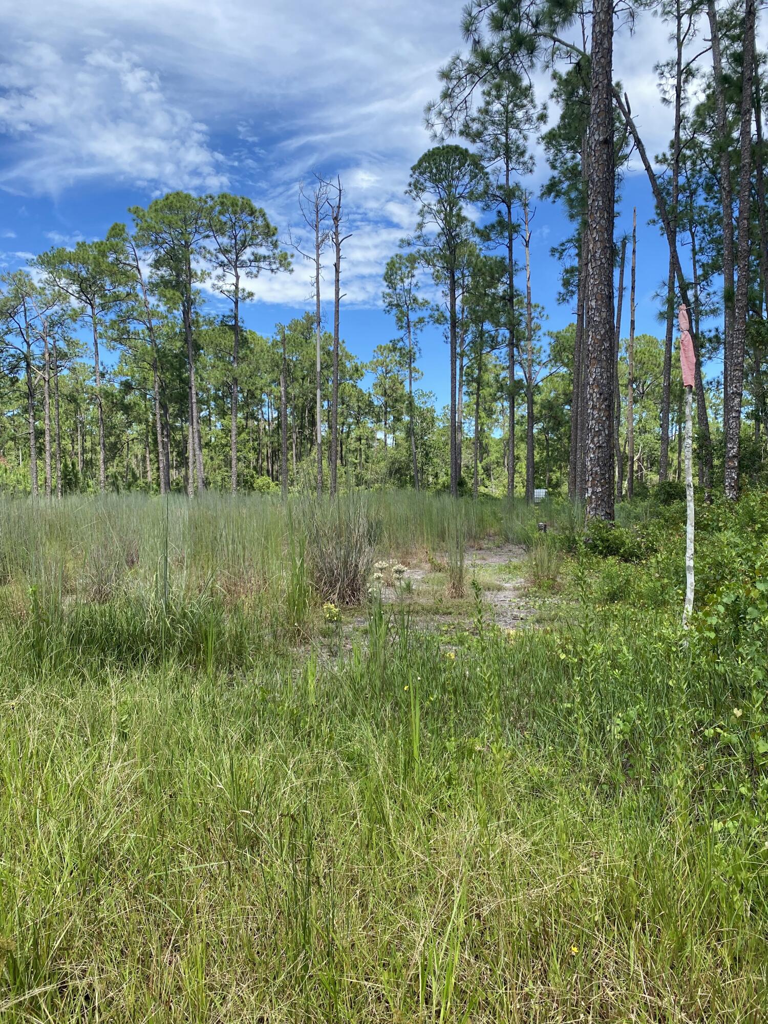 INDIAN LAKE ESTATES UNIT 14 - Land