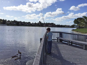 PHEASANT WALK - Residential