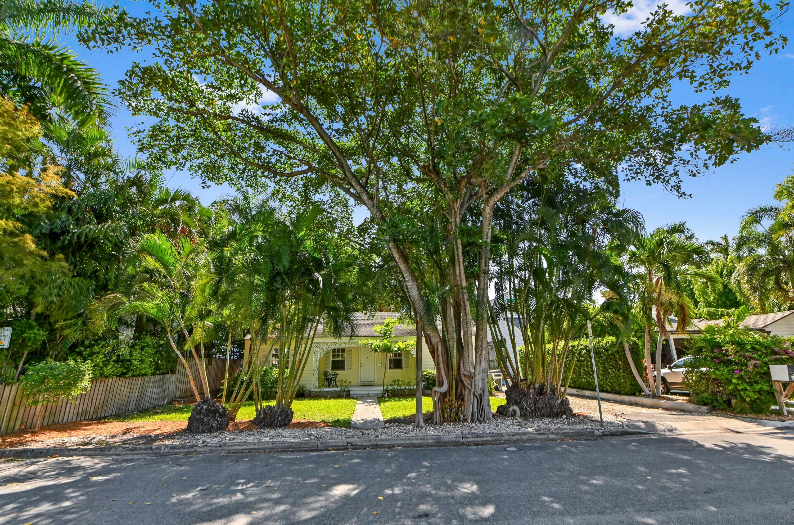 53 Palm Square
