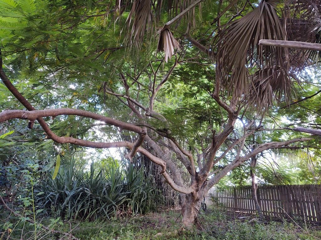 Photo of 1171 SE Palm Beach Road, Port Saint Lucie, FL 34952 (MLS # R10755013)