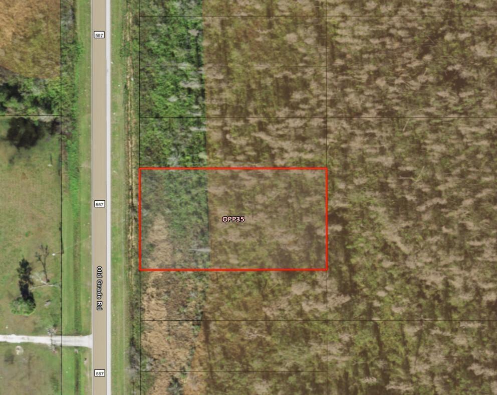 Orlando Pines - Land