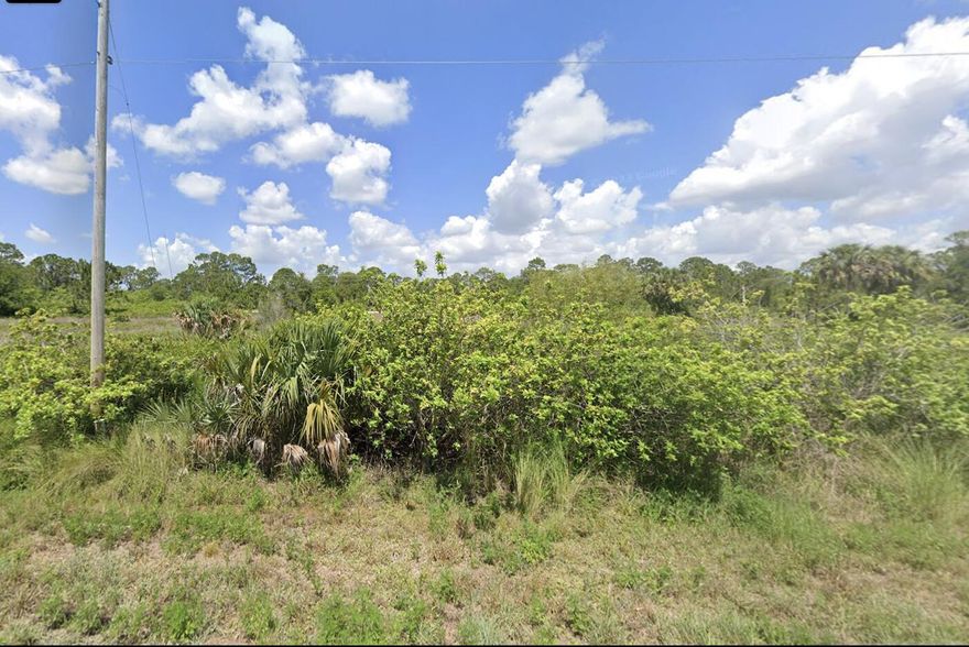 Ready to build your dream home !?! This lot is located in a fast growing area in Lehigh Acres;  buy and build or hold for investment. New and existing homes are already constructed in the area waiting for YOUR home to be built.  Power lines are already in place to the lot and the streets are PAVED  making it easy to access power  Wetland classification Pss1/3AD.. Quiet and tranquil neighborhood but minutes from shopping, restaurants, schools, parks and all the amenities Lehigh Acres and Fort Myers has to offer. Priced competitively, dont delay sending your offer!