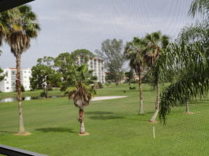 ESSEX AT POINCIANA CONDO - Residential