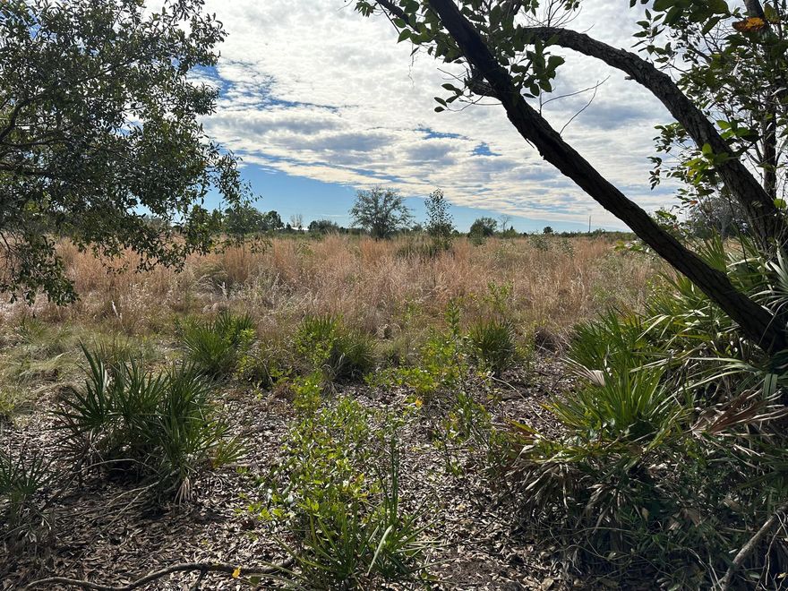 VICKING LOT- 1.25 ACRE LOT HIGH AND DRY, BUILDABLE LOT. PRIVACY AWAITS. No HOA, Bring the animals and all your toys.