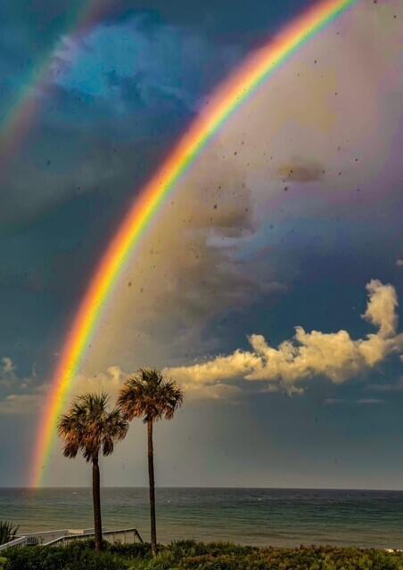 TURTLE BEACH CONDO - Residential