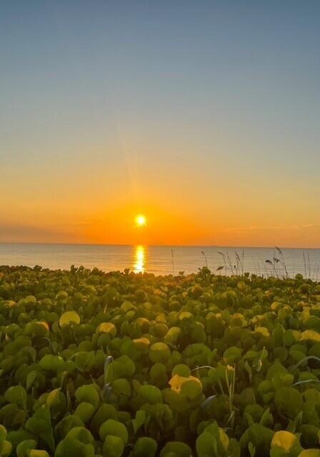 TURTLE BEACH CONDO - Residential