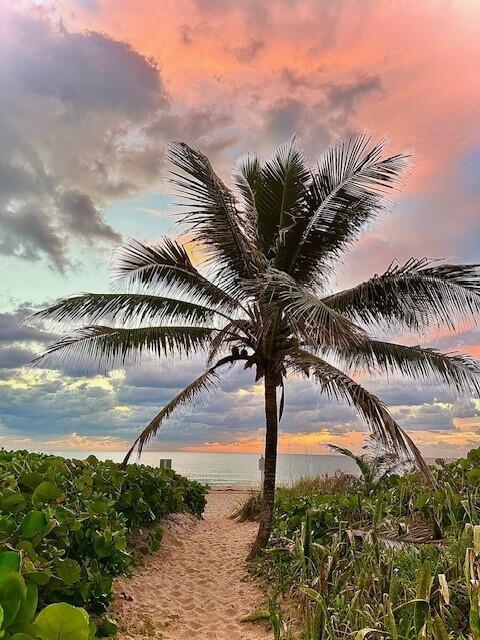 TURTLE BEACH CONDO - Residential