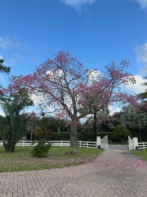 PALM BEACH LITTLE RANCHES 2 - Residential